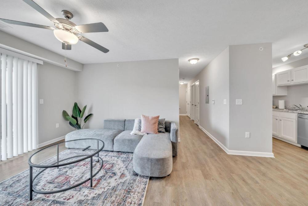 Apartment interior